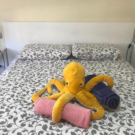 Medano Octopus Apartment Ελ Μέντανο Εξωτερικό φωτογραφία